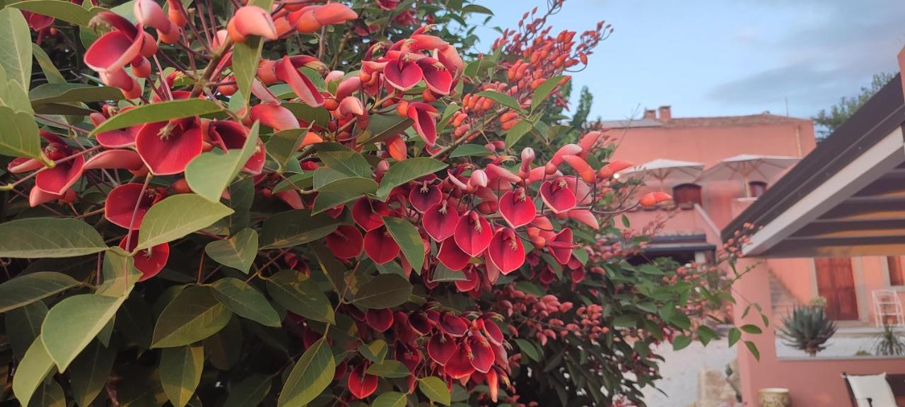 Bioagriturismo Antica Sena Milici Luaran gambar